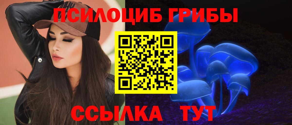 как найти наркотики  Вход с VPN  Корсаков  Галлюциногенные грибы MAGIC MUSHROOMS 
